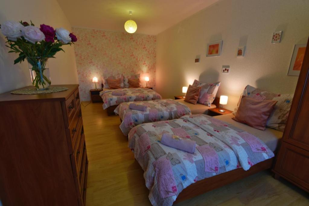 Apartmany Branickov Apartment Branickov